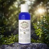 Skincare Botanics Tea Tree Cleanser, Toner & Moisturiser Set for