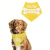 Dual Layer Birthday Plaid Dog Bandana Fall Soft Cotton Triangle