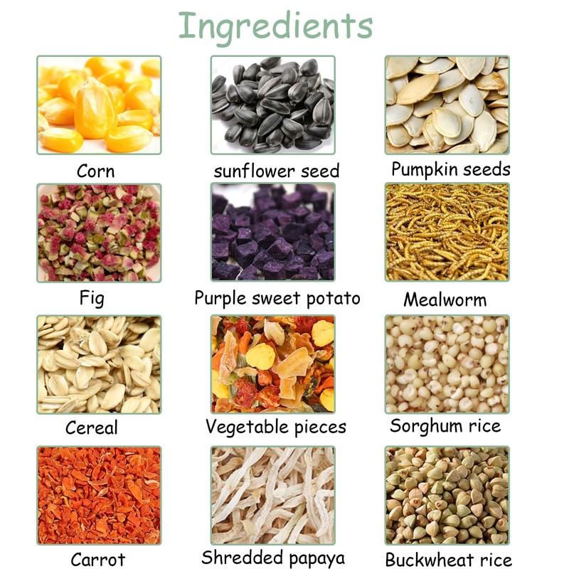 Jwizyotr Hamster Treats 15 PCS Rat Treats Hamster Chews for