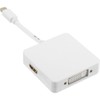 InLine® DisplayPort to HDMI/DVI Adapter 17195i White
