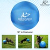 Herding Ball for Dogs and Horses, Dog Agility Toy, Horse