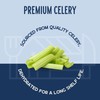 Harmony House Dehydrated Celery, Crosscut – Dried Vegetables For Cooking,
