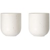 ASA coppatea 2er Set Teebecher sencha Porzellan 0,2 l