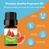Holamay 5ml x 10 Bottles Fruits Fragrance Oils Set, 100ml