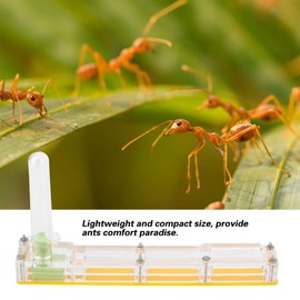 GOTOTOP Ant Farm, Ant Nest Transparent Acrylic Ant Nesting Box, Ant House for Feeding Ants (Yellow)
