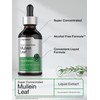 Horbäach Mullein Leaf Extract Drops | 2 fl oz |