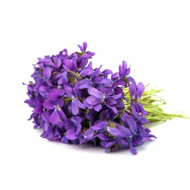 Layerable Perfume Roll On | 10mL (0.33 fl oz) | Fast-Absorbing Dry Oil | Phthalate-Free Long-Lasting Fragrance | Organic Fractionated Coconut Oil & Vitamin E | Travel-Friendly Floral Scent (Violet)