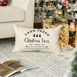 RABUSOFA Christmas Decorations Pillows Covers 12x20 Inch,Merry Christmas Winter Decorative Throw Pillow Cases,Farmhouse Holiday Xmas Lumbar Cushion Covers for Couch Living Room Red (White-12x20 Inch)