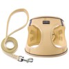 Dog Harness with Leash Set, Step-in Adjustable Puppy Pet Vest,