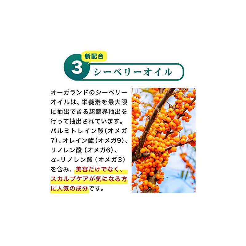 オーガランド (ogaland) ノコギリヤシ (30粒 / 約1ヶ月分) サプリ (ラウリル酸/リノール酸/オレイン酸) パンプキンシードオイル 長命草