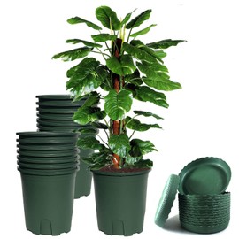 Green Plastic Pot Vegetable Flower Fruit Nursery Plant w/Root Control for Nursery Planter Flower Indoor Outdoor (10, 1/2Gallon)