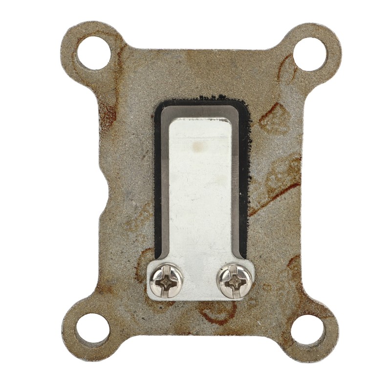 Reed Valve Assembly 6A1 13610 00 Excellent Sealing Heat Resistant