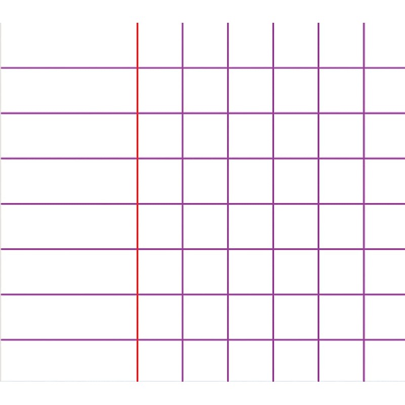 Clairefontaine 37422 C - A5 Maxi checkered 5 x 5