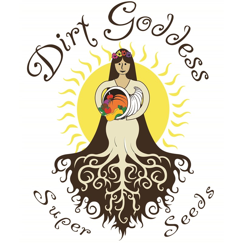 Bulk Organic Pumpkin Seeds (1 Lb)