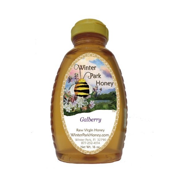 Winter Park Honey - 100% Pure raw unfiltered Florida Holly (gallberry) Honey (16oz)