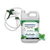 Powermint 1 Gallon Peppermint Oil Insect & Pest Control -
