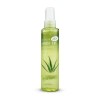 Gita [에스에스62]모이스트 페이스 미스트 알로에 150ml [SS62] Moist Face Mist Aloe 150ml