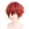 Cosplay Wig, Hypnosis Cosplay Wig, Heat Resistant, Costume Accessory, Festival
