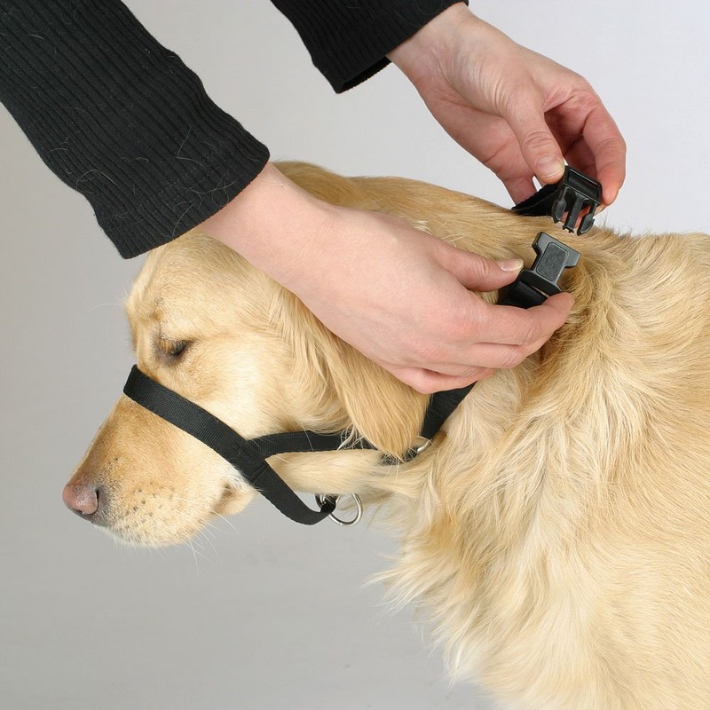 Kerbl Pet Trainings- und Erziehungsgeschirr Maxi Coach, schwarz, < 24
