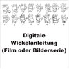 BAY® "Basic 2,5" Boxbandagen + WICKELANLEITUNG, PINK, elastisch, 2,5 Meter