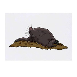'Blind Mole' Temporary Tattoo - Water Resistant, Skin-Safe, Non-Toxic Transfer (TO00042704)