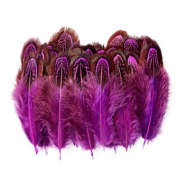 100 pcsHappy Feather Natural Pheasant Plumage Feathers 2-3 Inches Plumage Feathers for Sewing Crafts Clothing Decorating Accessories -Purple