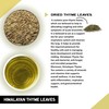 TEACURRY Himalayan Thyme Tea (30 Tea Bags 1 Month Pack)