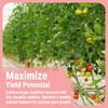 Cronk Nutrients Bud Booster - Best Budding Fertilizer for Maximum