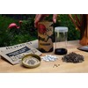 Bonsai Tree | Rocky Mountain Juniper | Seed Grow Kit