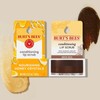 Burt's Bees 버츠비 컨디셔닝 립 스크럽 7g 택1 Burt's Bees Conditioning Lip Scrub 7g Choose 1