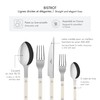 SABRE PARIS - 5-Piece Flatware Set - Bistrot Collection -