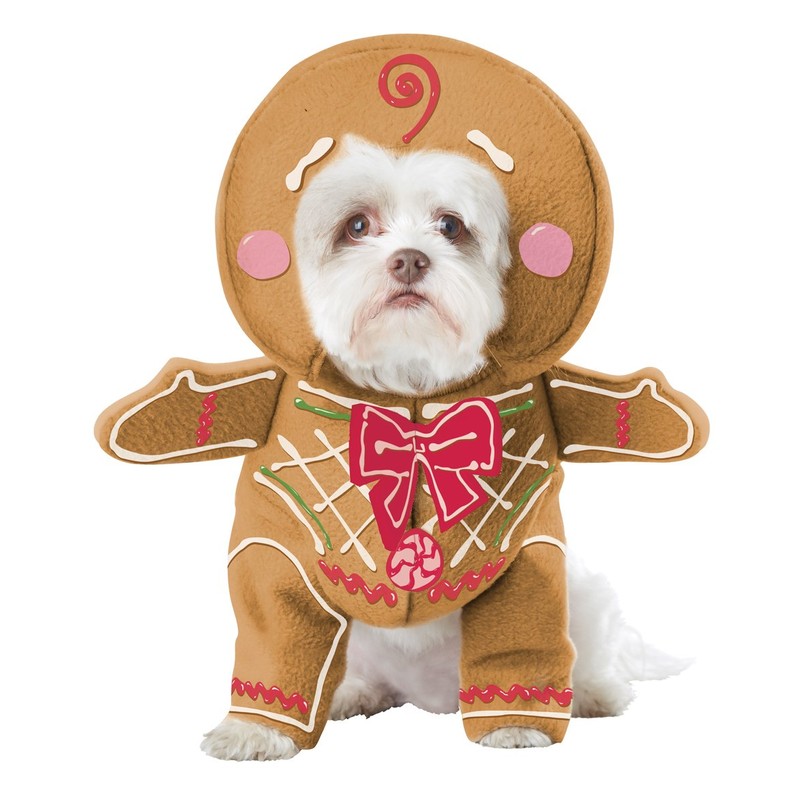California Costumes, Gingerbread Pup, Dog Costume Medium