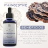 PHI FUNGI | Phungestive | Extracto de Cola de Pavo