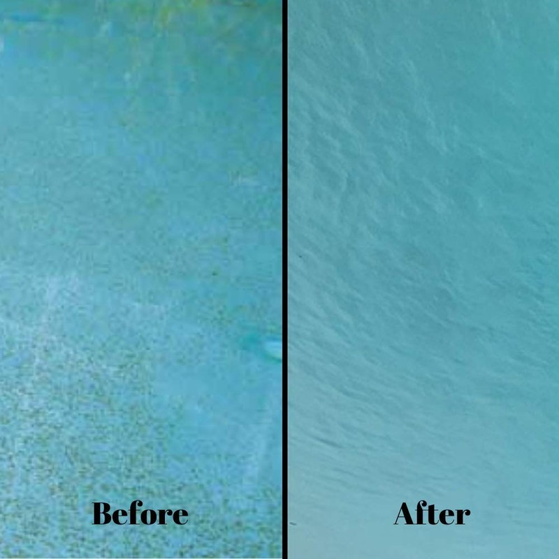 Swimming Pool Clarifier for Inground and Above Ground Pools, Effective