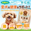 【Veterinarian W supervised】Perfect One Care Lactobacillus Plus Supplement for Dogs