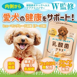 【Veterinarian W supervised】Perfect One Care Lactobacillus Plus Supplement for Dogs and Cats - Gut Health, Intestinal Environment, Intestinal Regulation