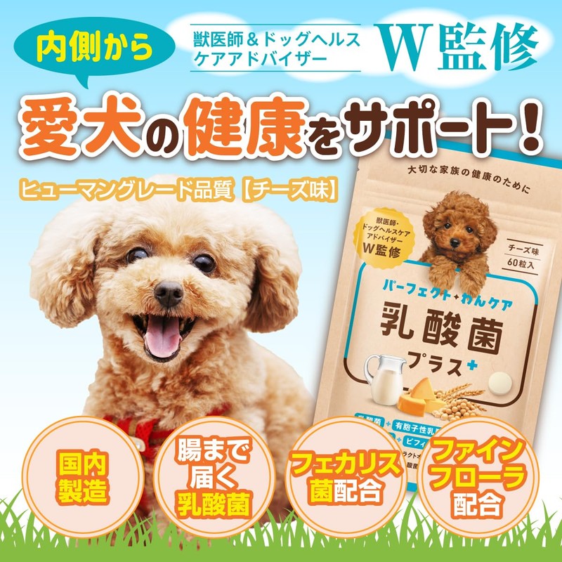 【Veterinarian W supervised】Perfect One Care Lactobacillus Plus Supplement for Dogs