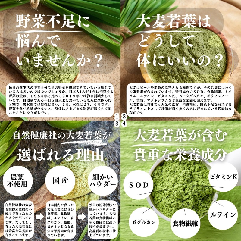 自然健康社 大麦若葉粉末 100本 青汁 国産 サプリ 無添加 パウダー 個包装