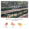 [Roasted after order/medium roasting] Mamenari coffee coffee beans gentle on