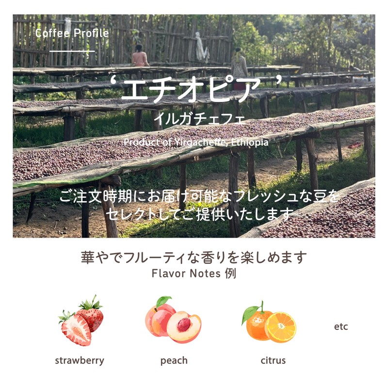 [Roasted after order/medium roasting] Mamenari coffee coffee beans gentle on