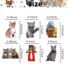 24pcs cat Hanging Swirls Ceiling Streamers Decorations,cat Party Decoration cat Baby Shower Supplies, Suitable for cat Party Decoration Supplies (Grizzly)