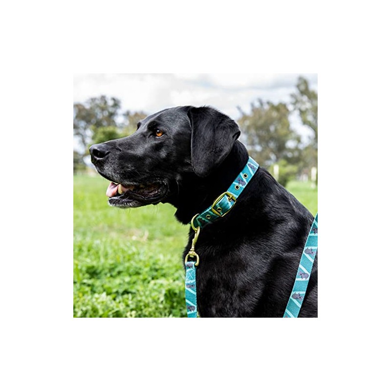 Anipal Kylo The Koala Dog Collar - S - Made