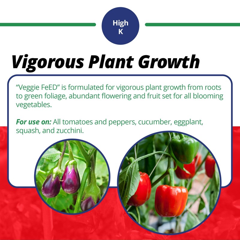 Jack's Classic 12-15-30 Veggie Feed Water-Soluble Fertilizer with Micronutrients for