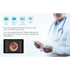Teslong Otoscopio Digital Recargable Con Wifi Integrado. Ios Android