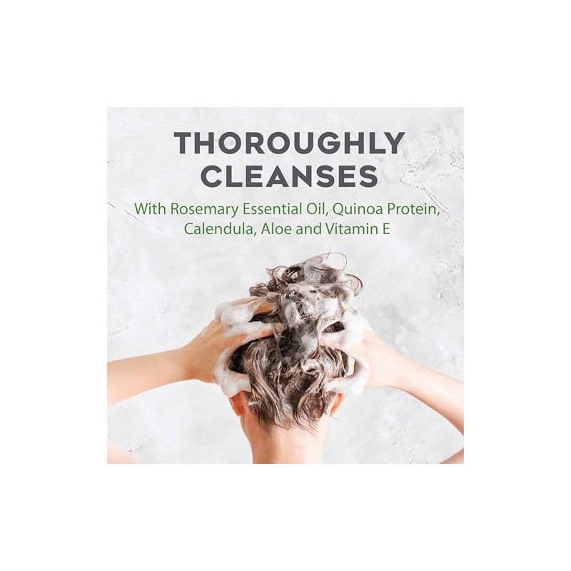 Avalon Avalon Shampoo Rosemary, 11 Ounce