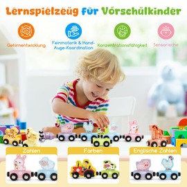 TenFans Montessori Educational Toy - 11-Piece Wooden Train with Magnets & Animals from 2 Years (2-4 Years) Boys & Girls | Promote Playful Learning & Fine Motor Skills