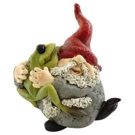 Top Collection Miniature Fairy Garden and Terrarium Gnome Hugging Frog Figurine