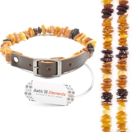 Amber collar for dogs, amber chain dog and cat, tick protection dogs and cat, Baltic amber raw from Lithuania, amber chain for dogs