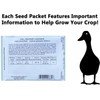 Set of 12 Dill Vegetable Seed Packs - Create a