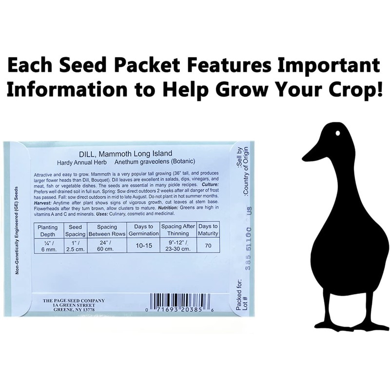 Set of 12 Dill Vegetable Seed Packs - Create a